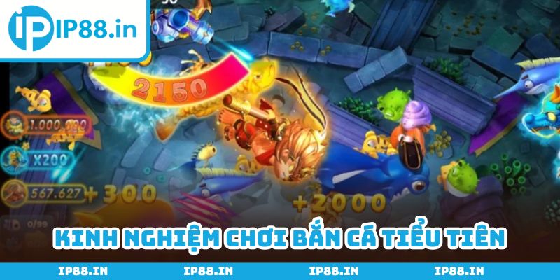Kết hợp linh hoạt nhiều chiến thuật để kiếm tiền hiệu quả
