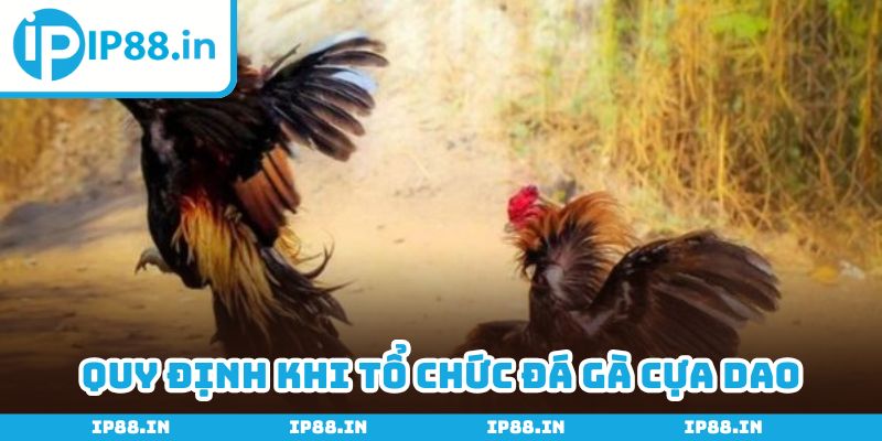 Cần tuân thủ quy định chung để đảm bảo tính công bằng