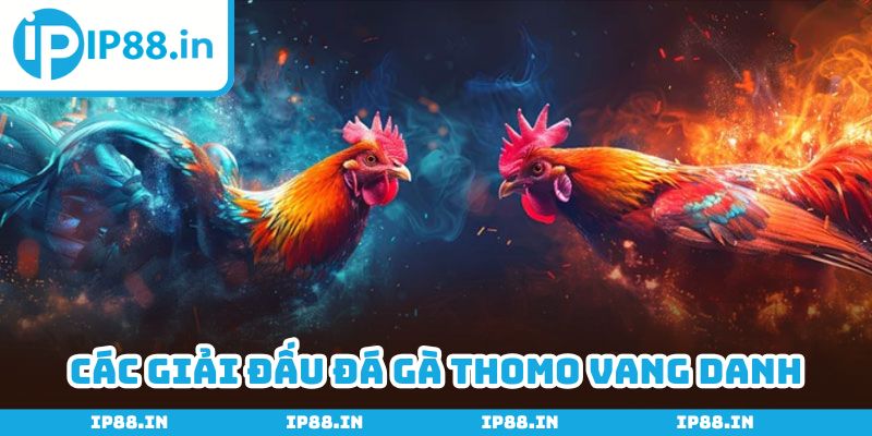 Tham gia vào giải đấu bạn yêu thích để có trải nghiệm đáng nhớ