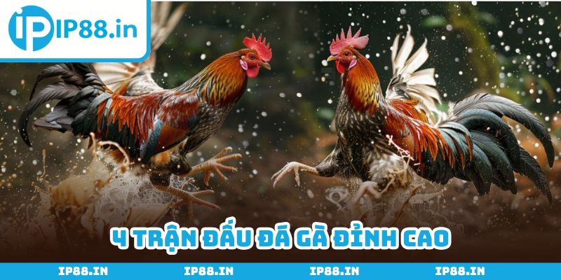 Phát lại 4 trận đấu vang danh lịch sử, giúp bạn thỏa mãn đam mê