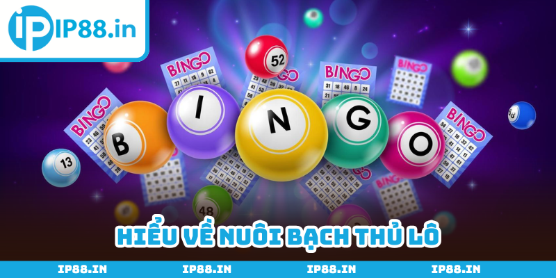 Nuôi bạch thủ lô được ưa chuộng bởi hiệu quả cực cao