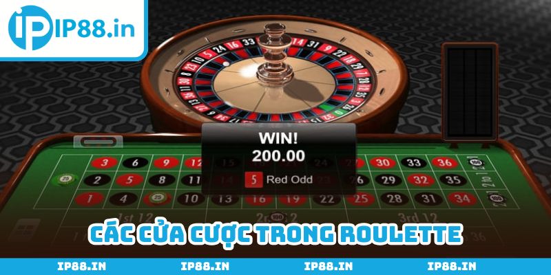 Game Roulette mang đến đa dạng cửa cược, bạn tha hồ lựa chọn