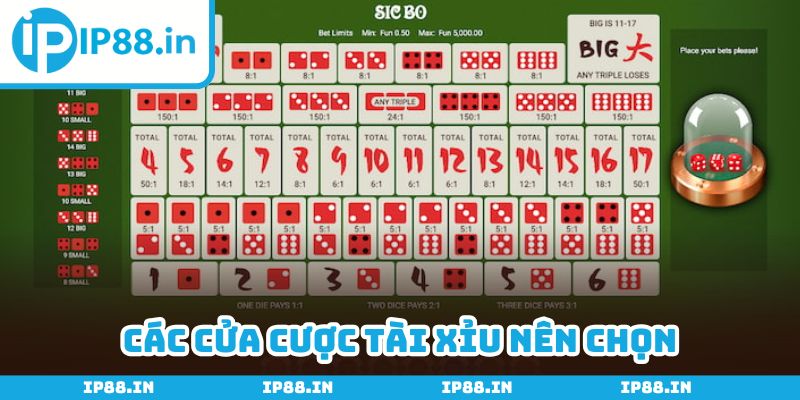 Tha hồ đặt cược để kiếm tiền khủng về túi mỗi ngày